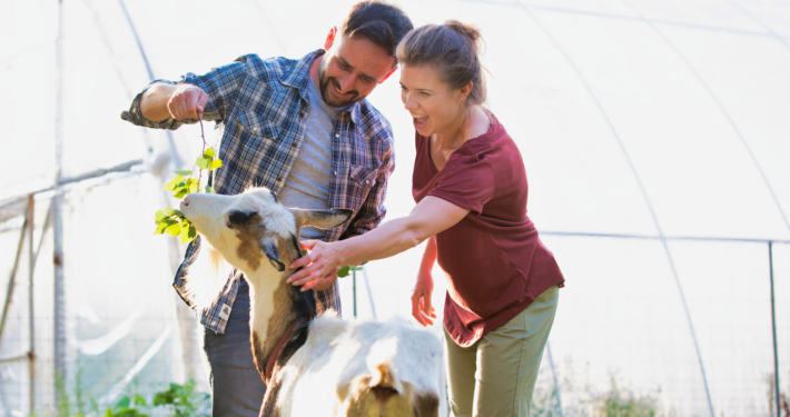 Erstes Date Ideen: Zoobesuch